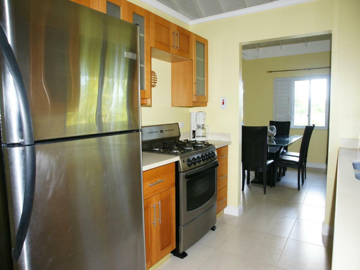 Jamnick Vacation Rentals - Richmond, St Ann, Jamaica Ocho Rios Exterior foto